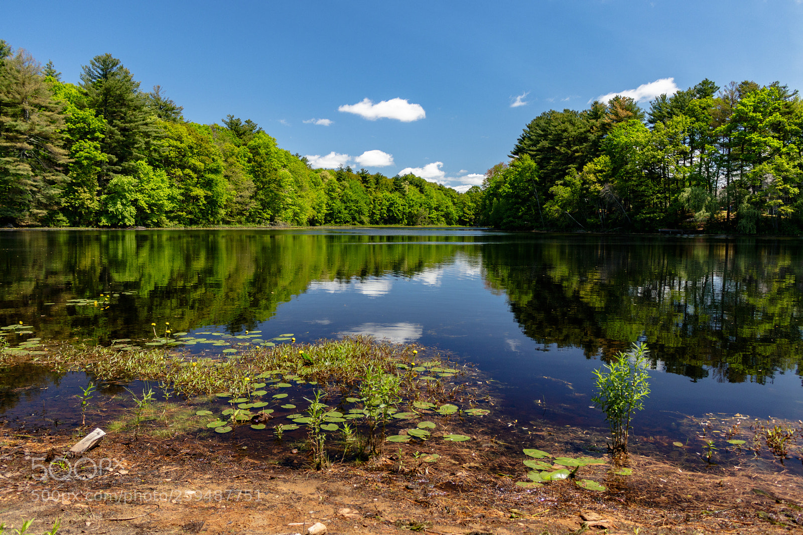 Canon EOS 80D sample photo. Turner pond photography