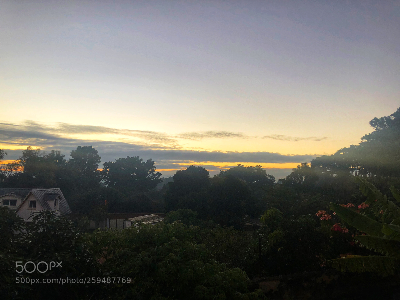 Apple iPhone 8 Plus sample photo. Morning day photography