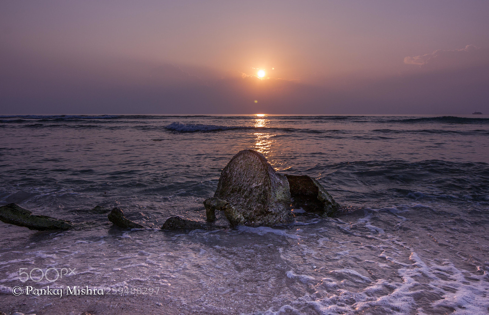 Canon EOS 600D (Rebel EOS T3i / EOS Kiss X5) sample photo. Golden light photography