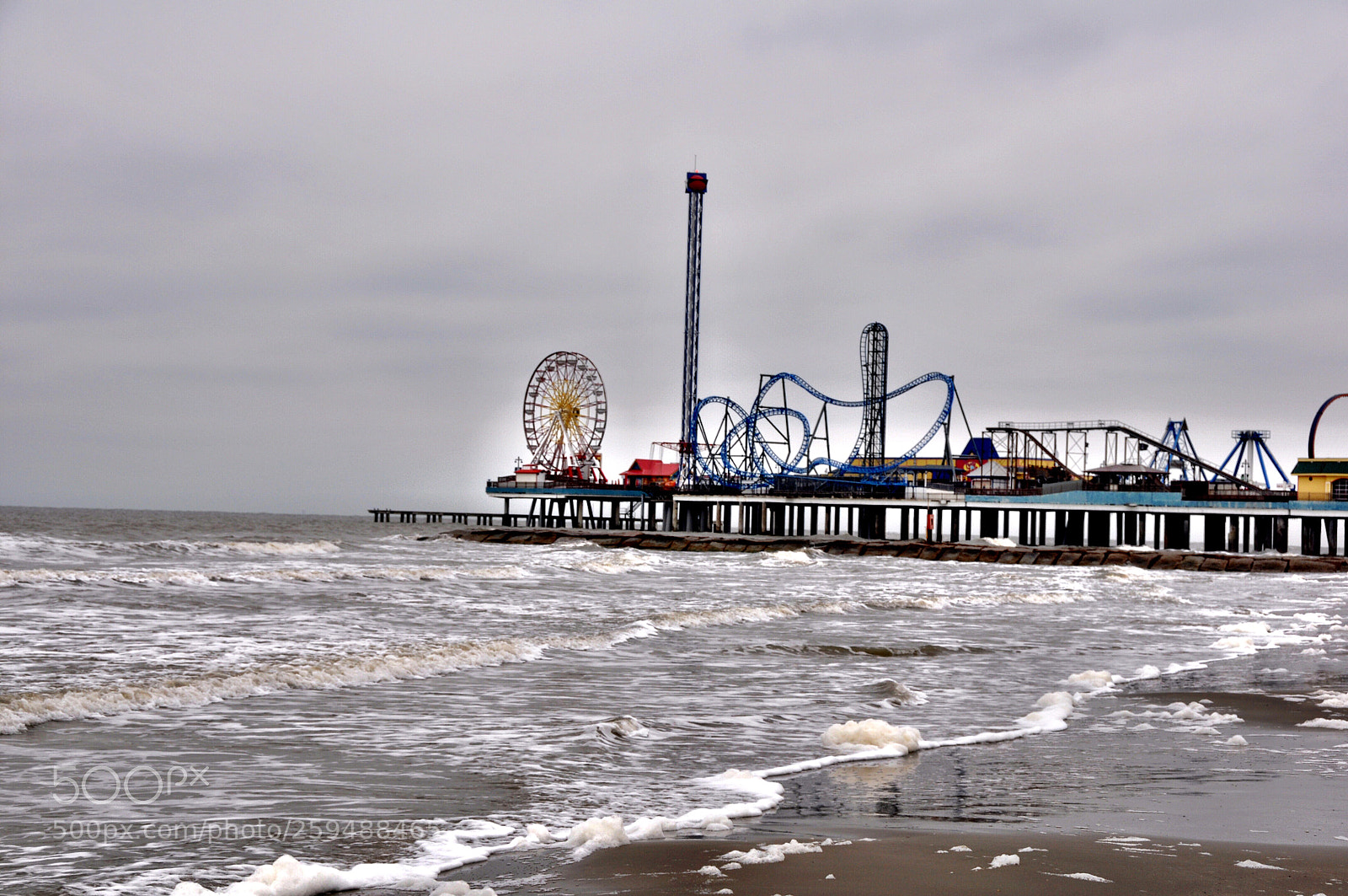 Nikon D90 sample photo. Untitled photography