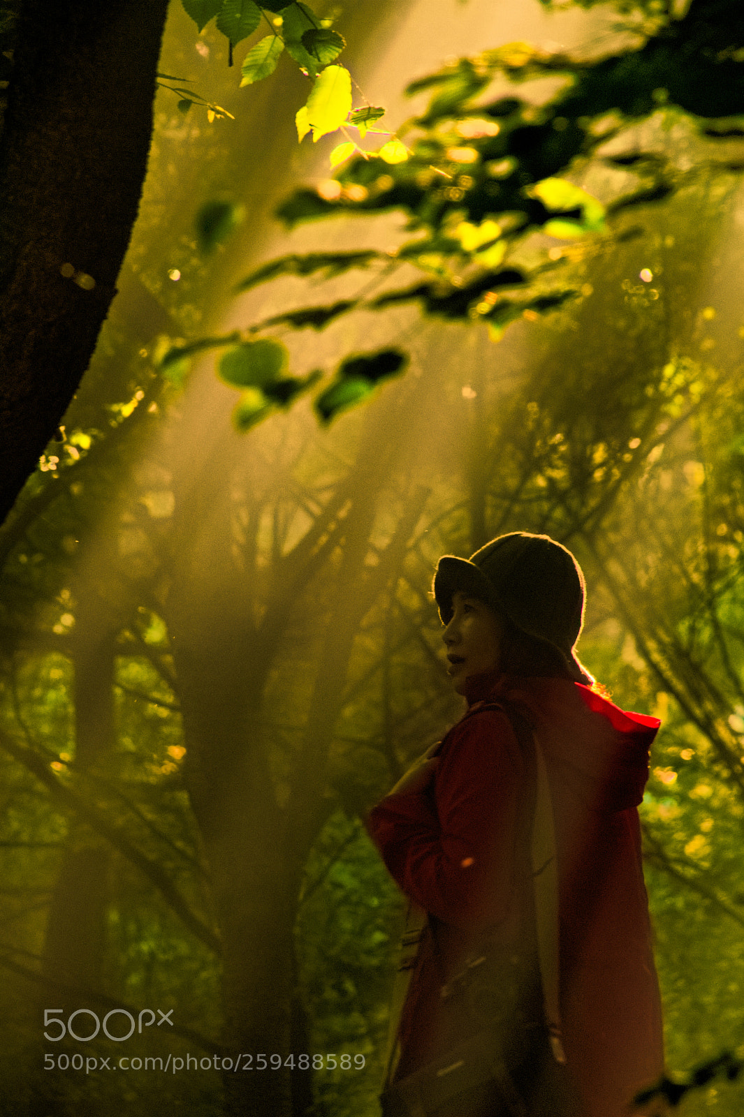 Nikon D500 sample photo. Woman and light photography