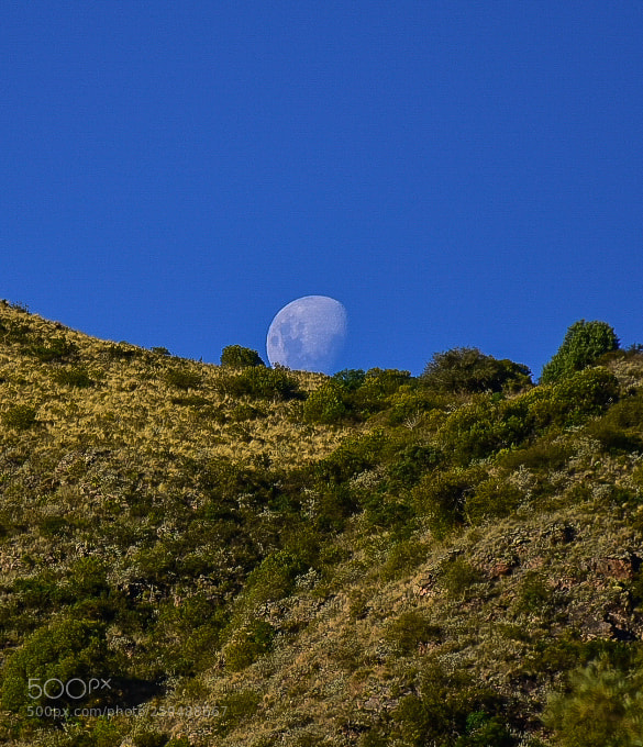 Nikon D7200 sample photo. Untitled photography
