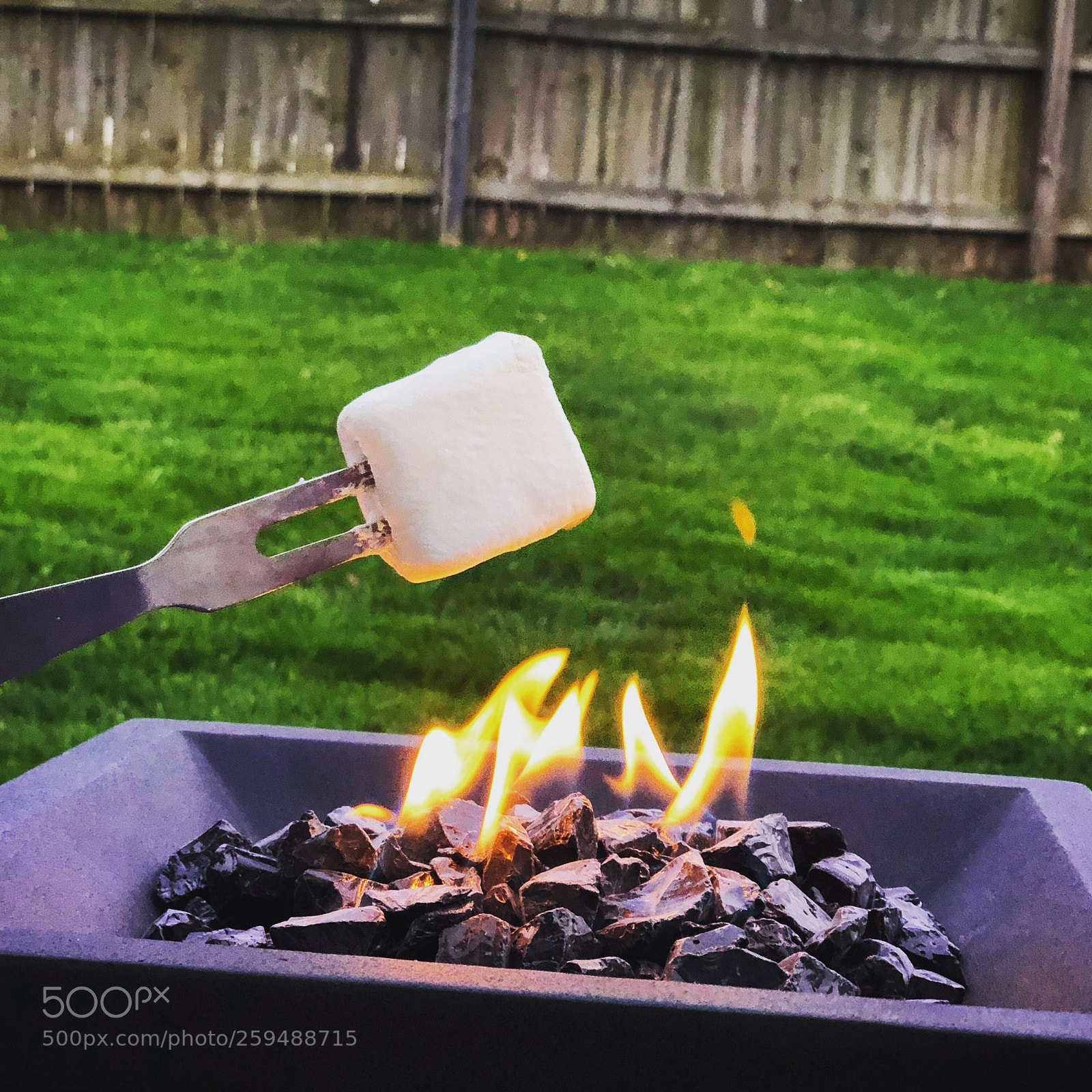 Apple iPhone X sample photo. Making s’mores  photography