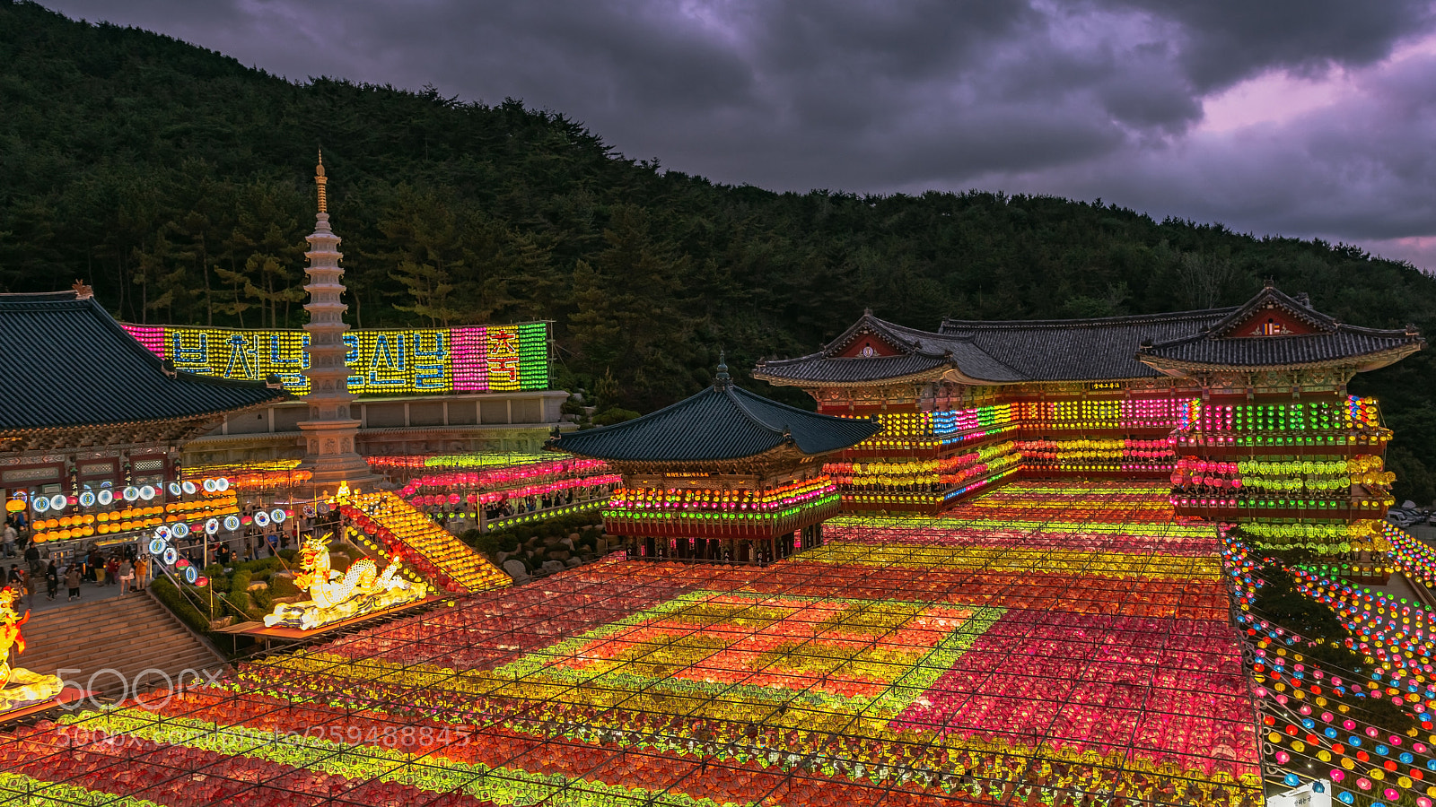 Nikon D800 sample photo. Lotus lantern festival on photography