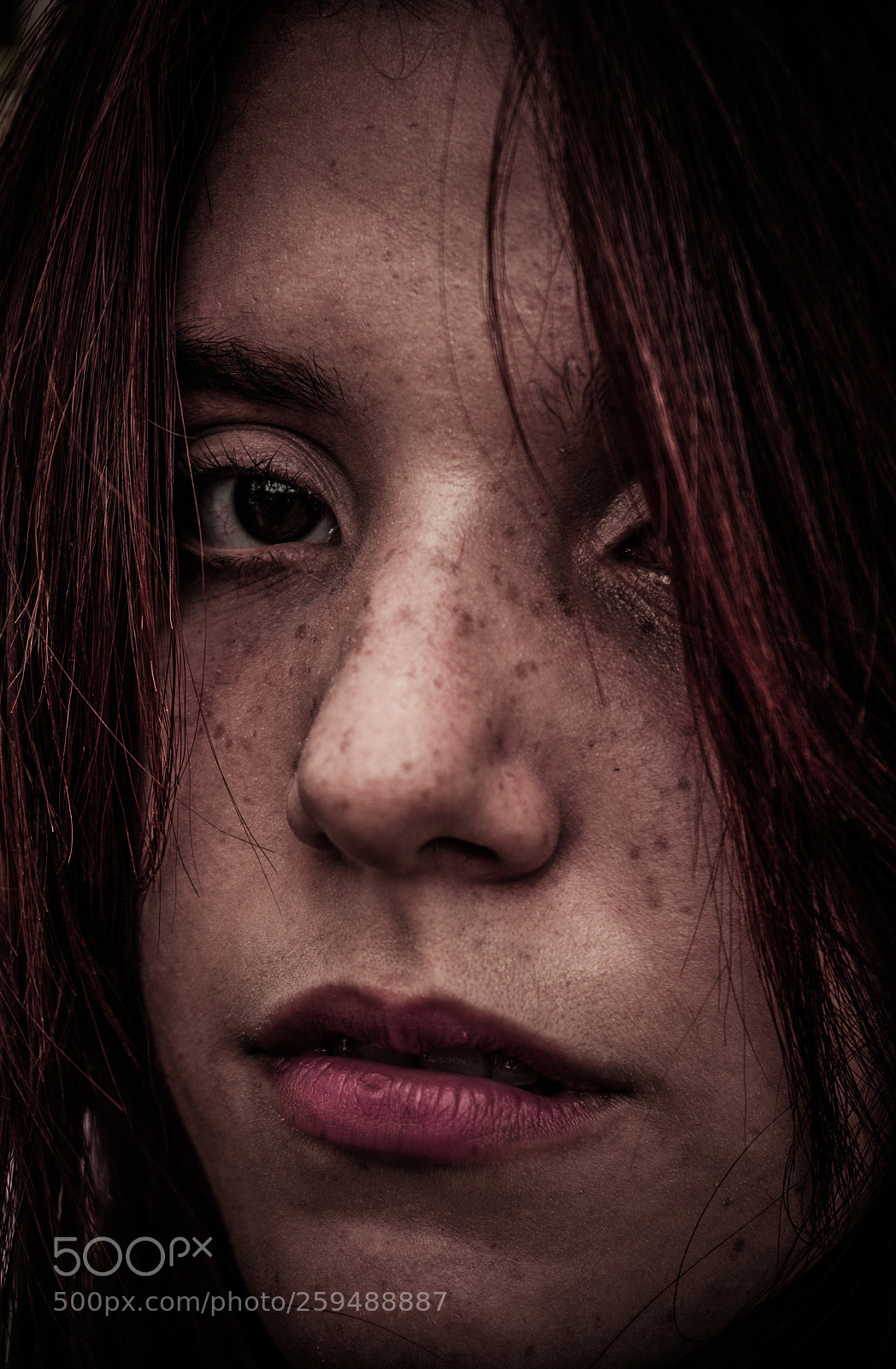 Canon EOS 1000D (EOS Digital Rebel XS / EOS Kiss F) sample photo. Portrait by jes s photography