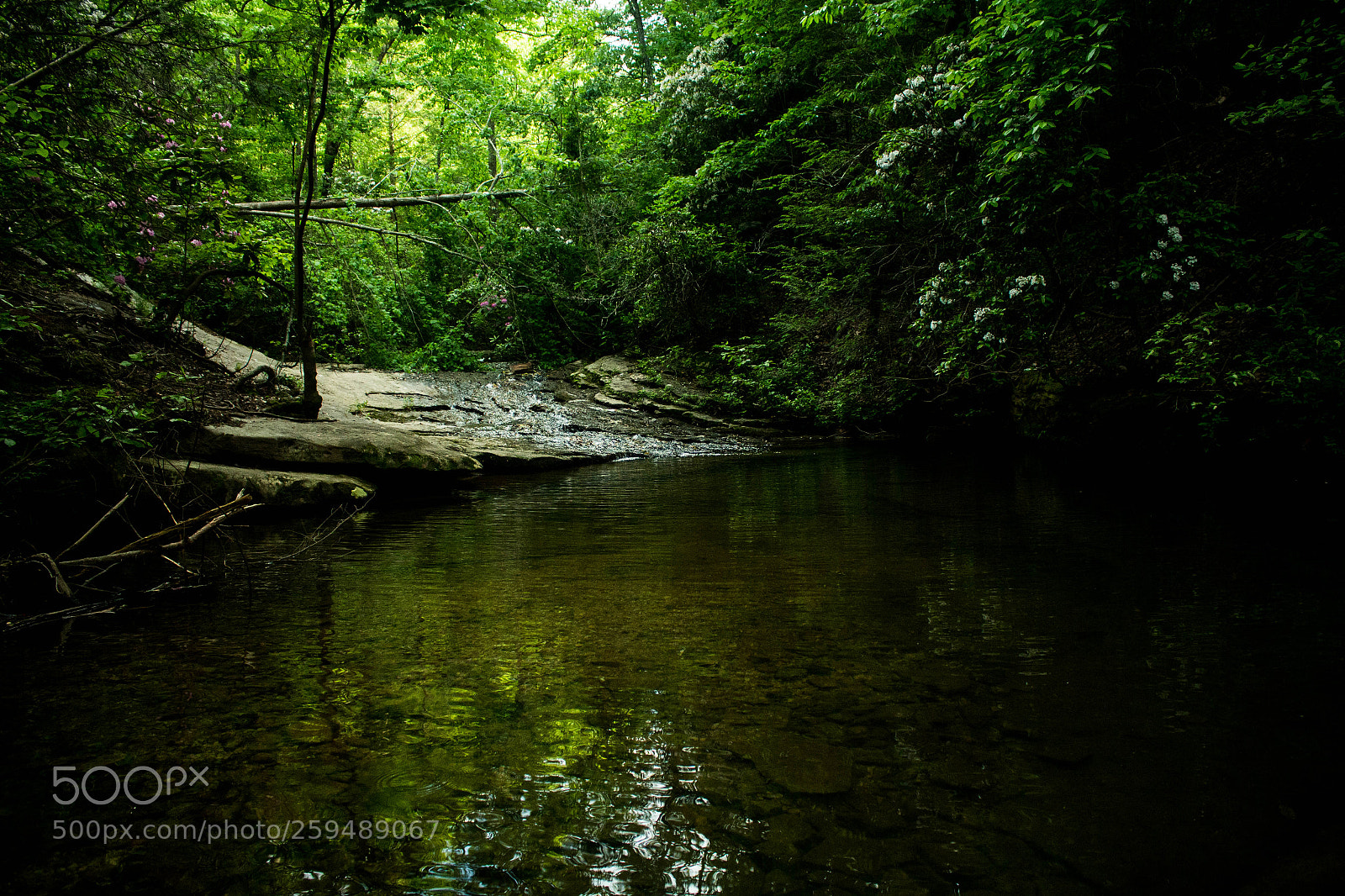 Canon EOS 700D (EOS Rebel T5i / EOS Kiss X7i) sample photo. Pond of water photography