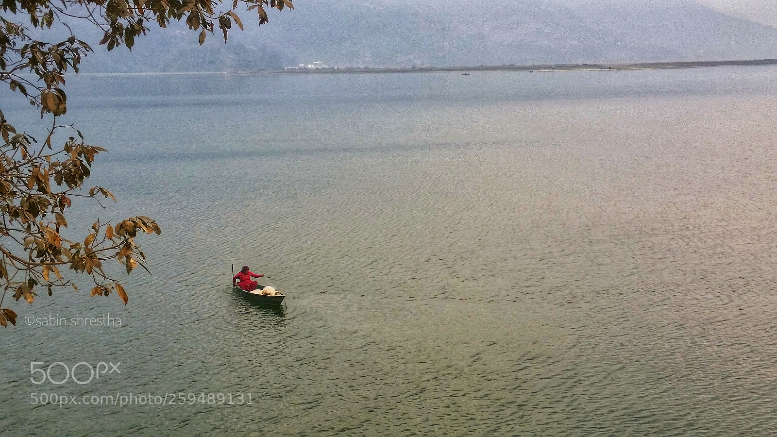 Samsung Galaxy S5 sample photo. Untitled photography