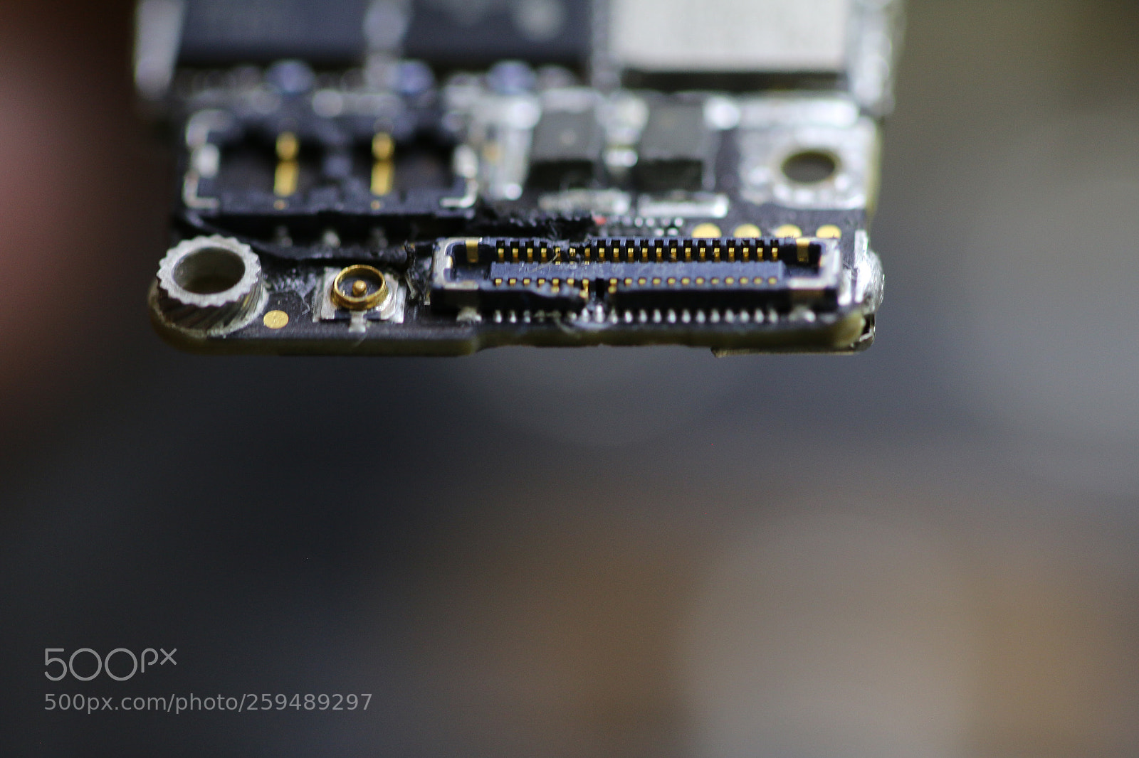 Canon EOS 70D sample photo. Untitled photography