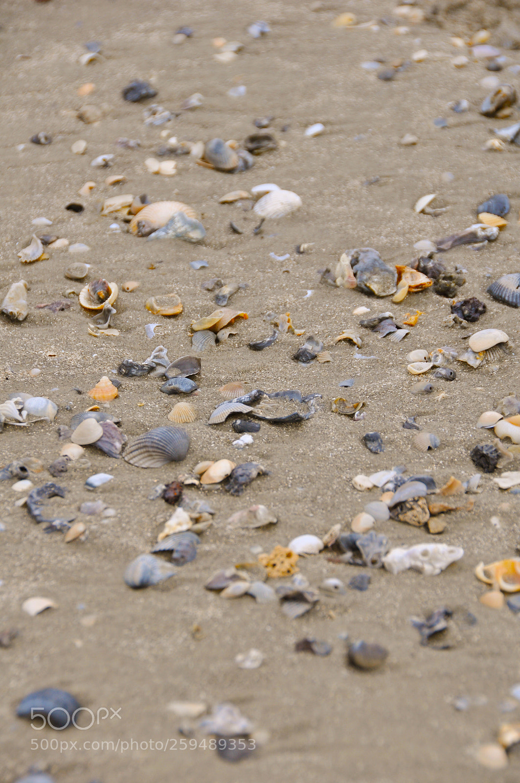 Nikon D90 sample photo. Untitled photography