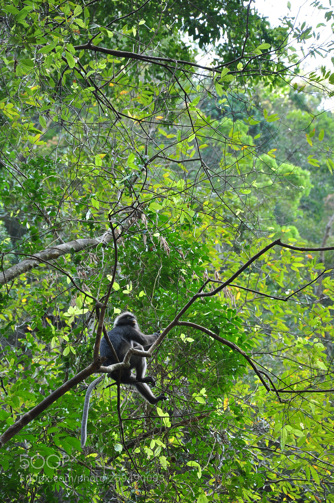 Nikon D90 sample photo. Langkawi trip photography