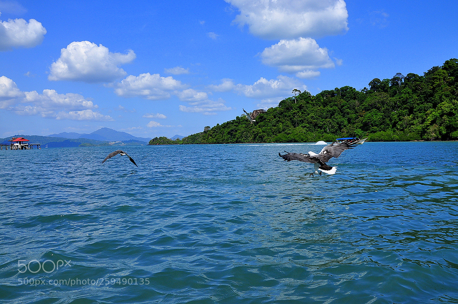 Nikon D90 sample photo. Langkawi trip photography