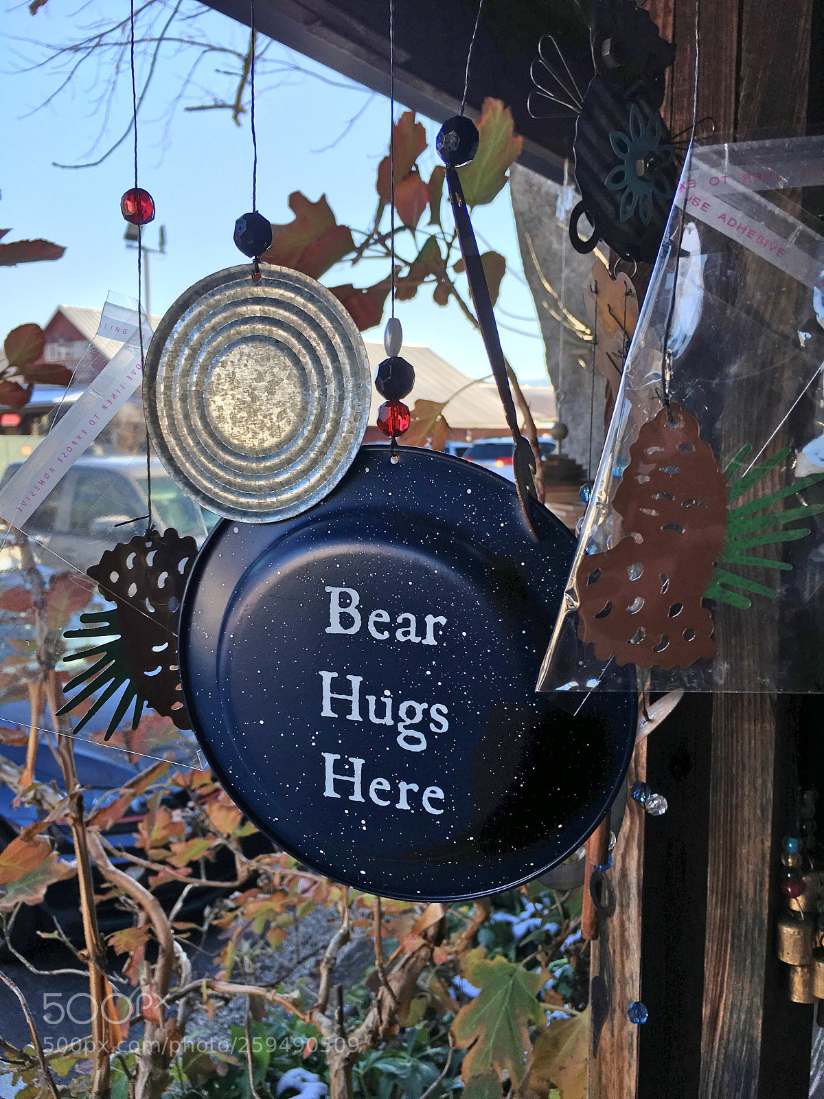 Apple iPhone 6s Plus sample photo. Bear hugs
 photography