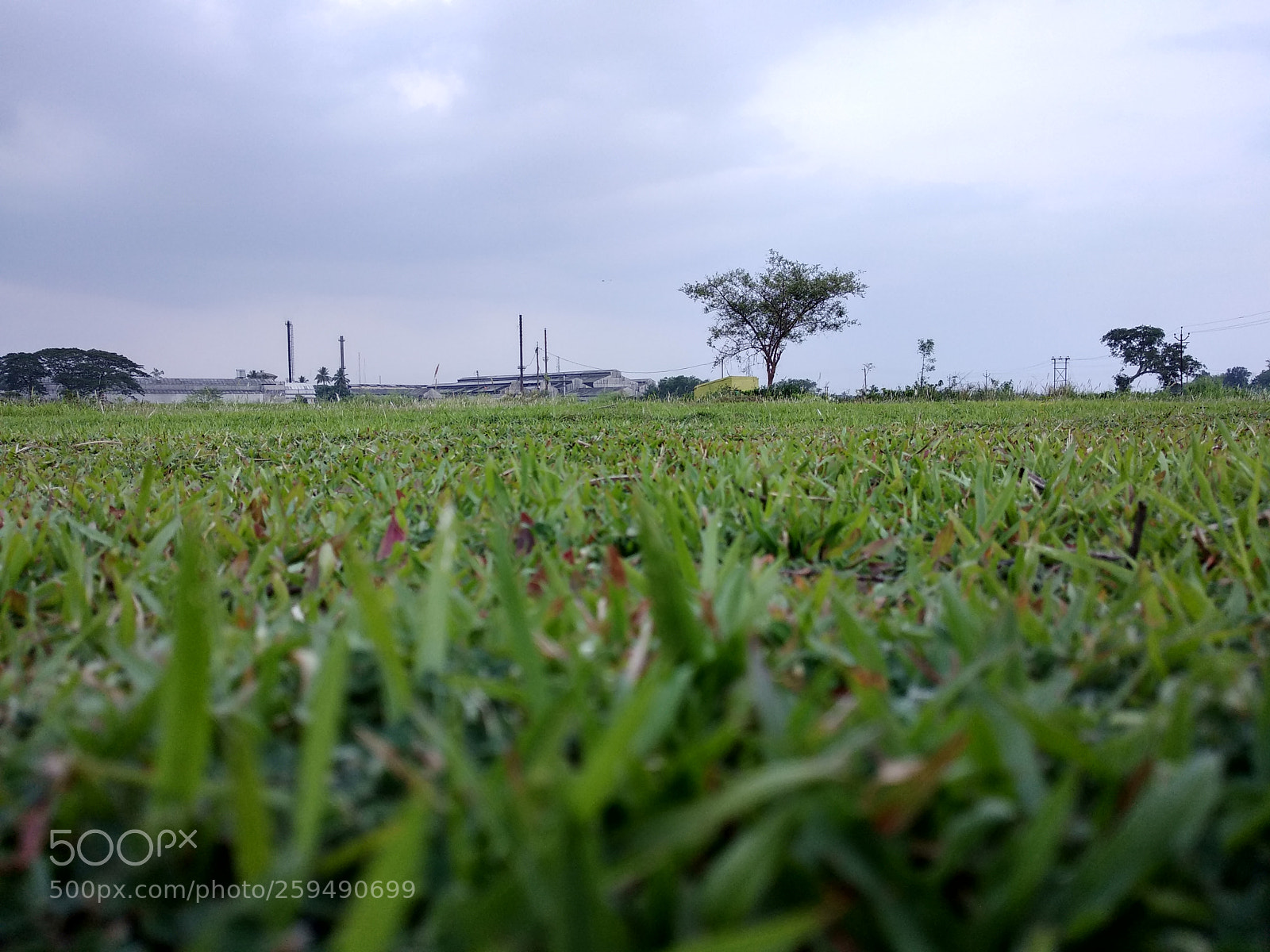 Xiaomi Redmi Note 5 sample photo. Abondoned green field photography