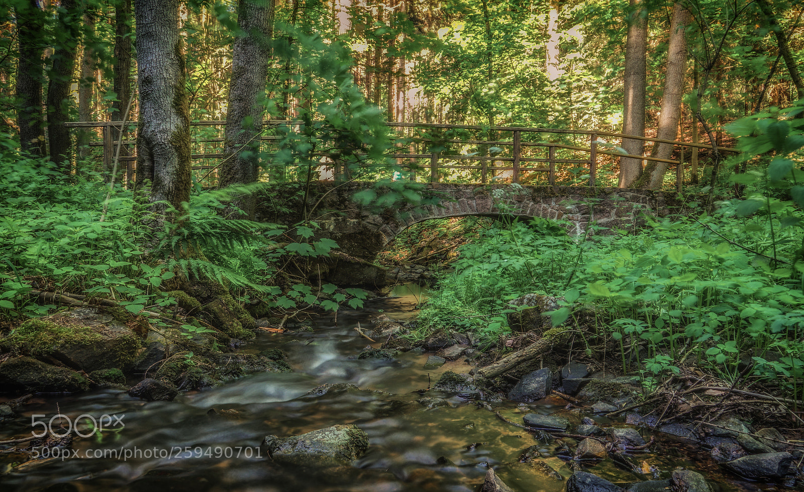Sony a7 II sample photo. Alte br cke im photography