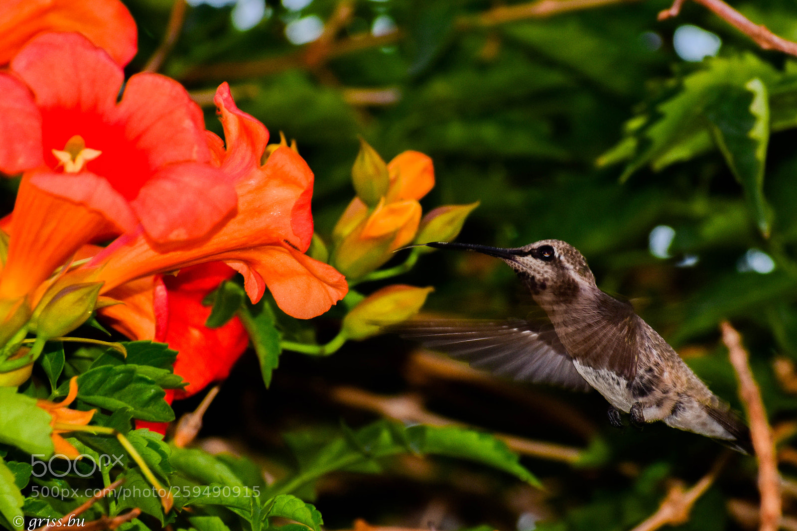 Nikon D3400 sample photo. "esperar vale la pena..... photography
