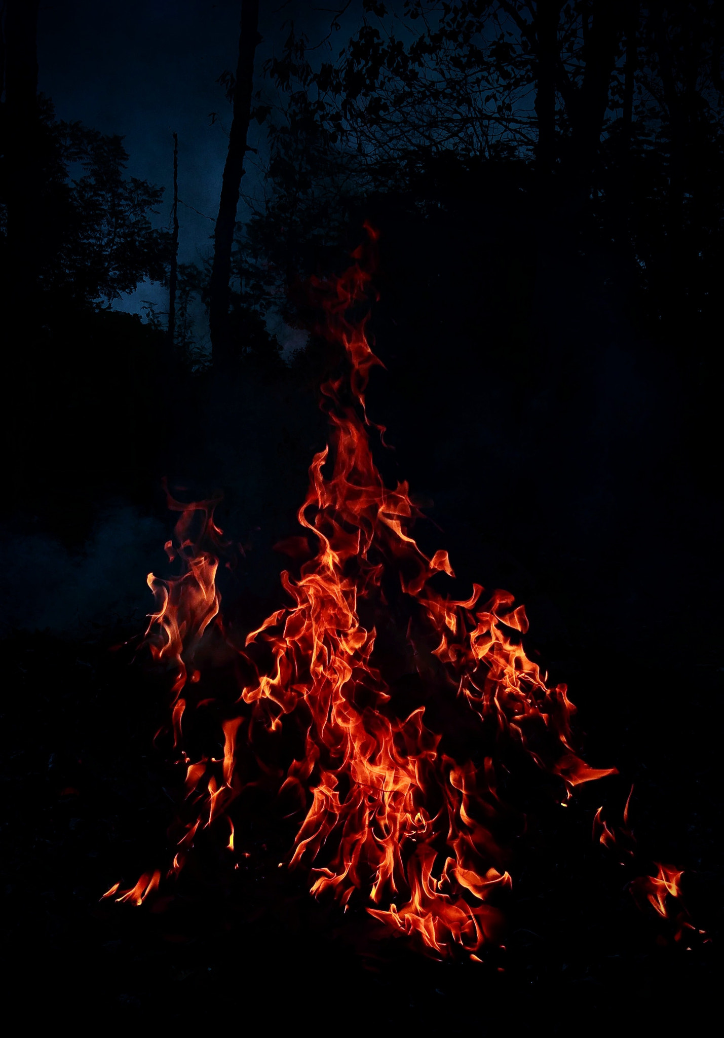 OnePlus 5T sample photo. Fire dance photography