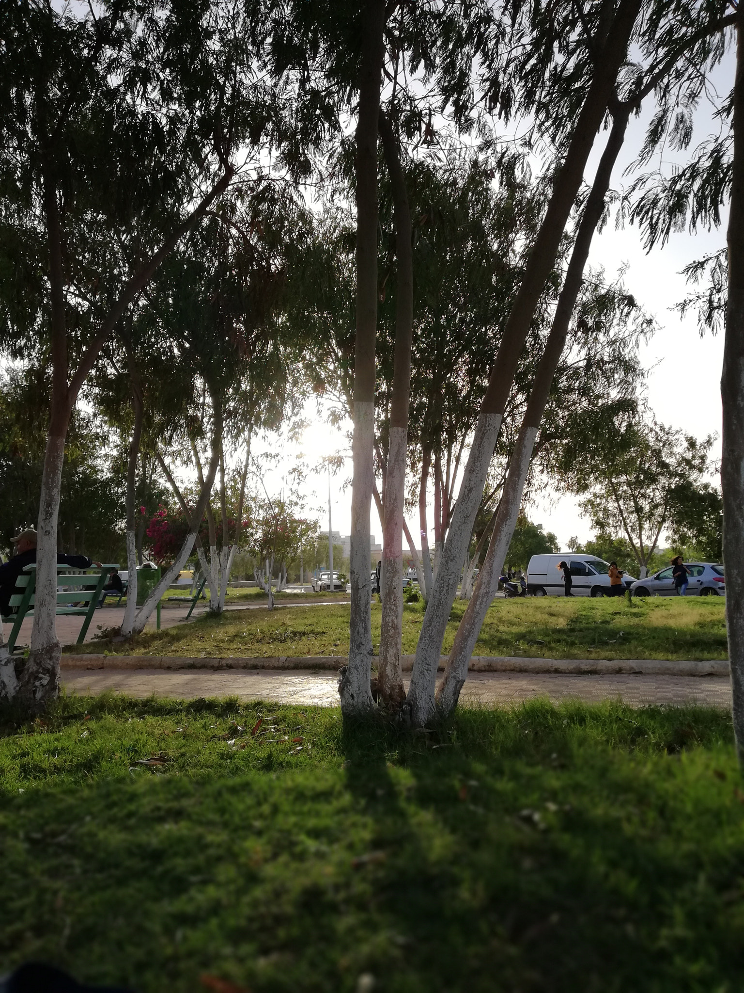 HUAWEI Mate 10 Lite sample photo