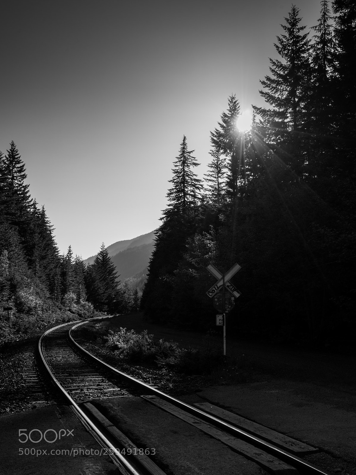 Sony a7 sample photo. Untitled photography
