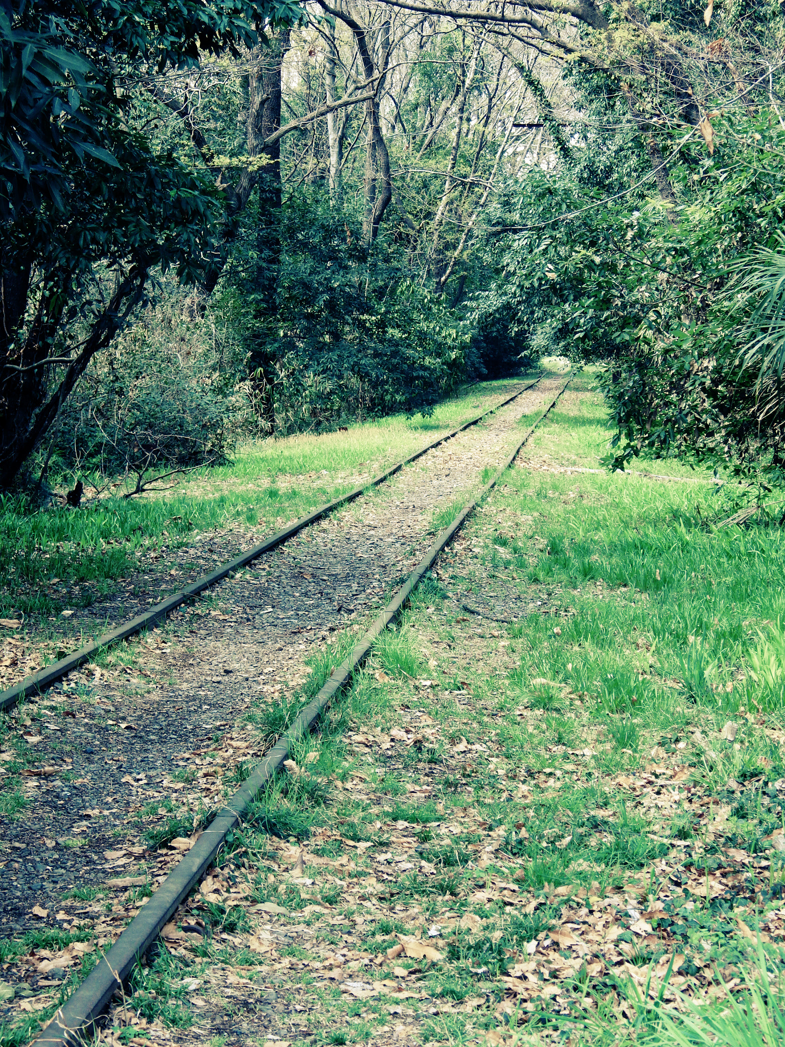 Pentax X-5 sample photo. Old railway photography
