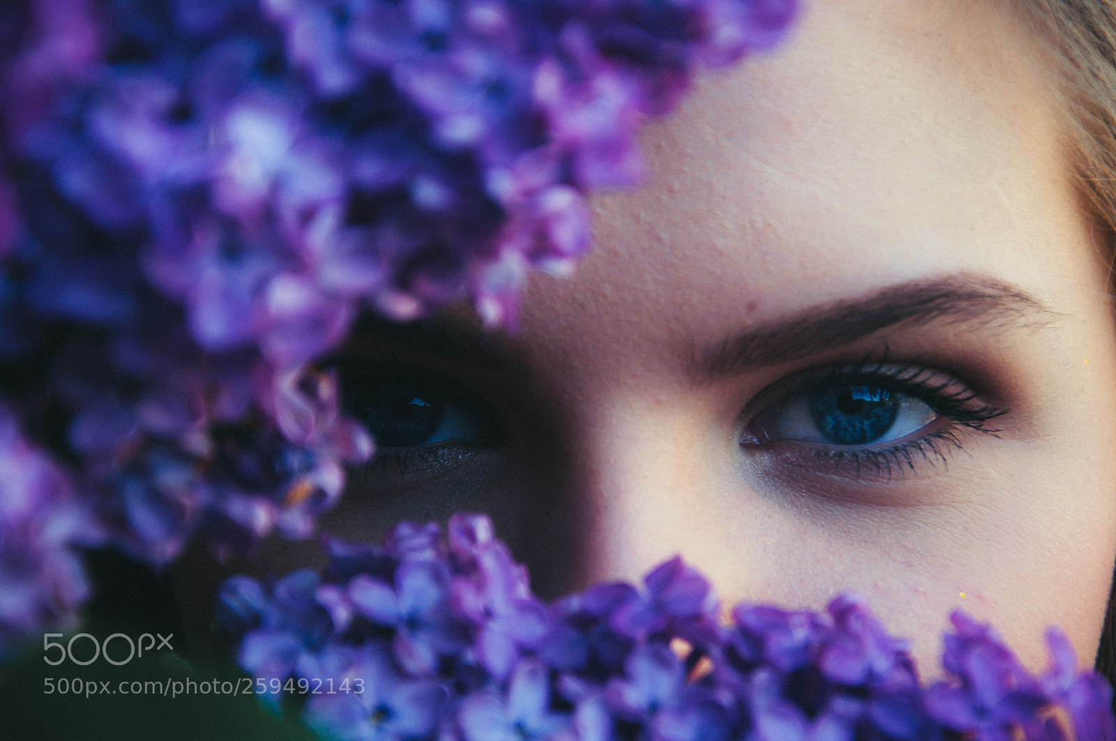 Nikon D5000 sample photo. Floral glance photography