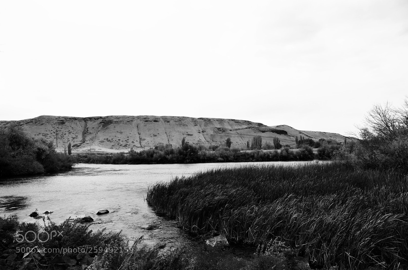 Nikon D7000 sample photo. October on ritter island photography