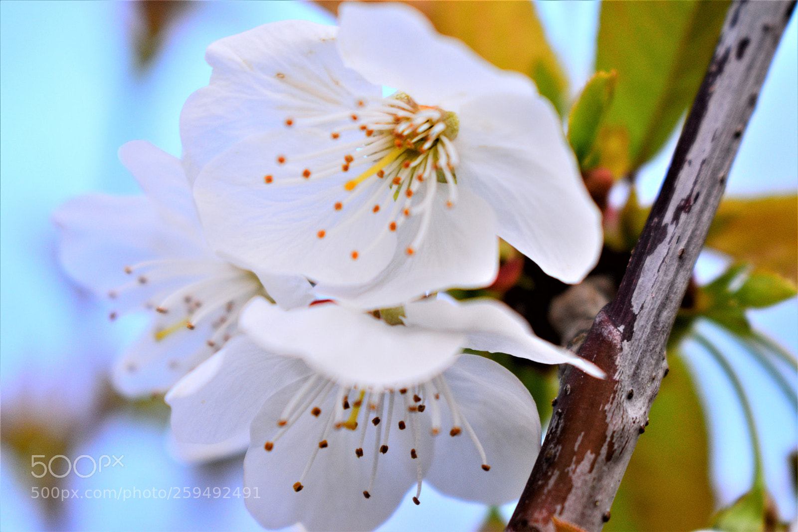 Nikon D3400 sample photo. () photography