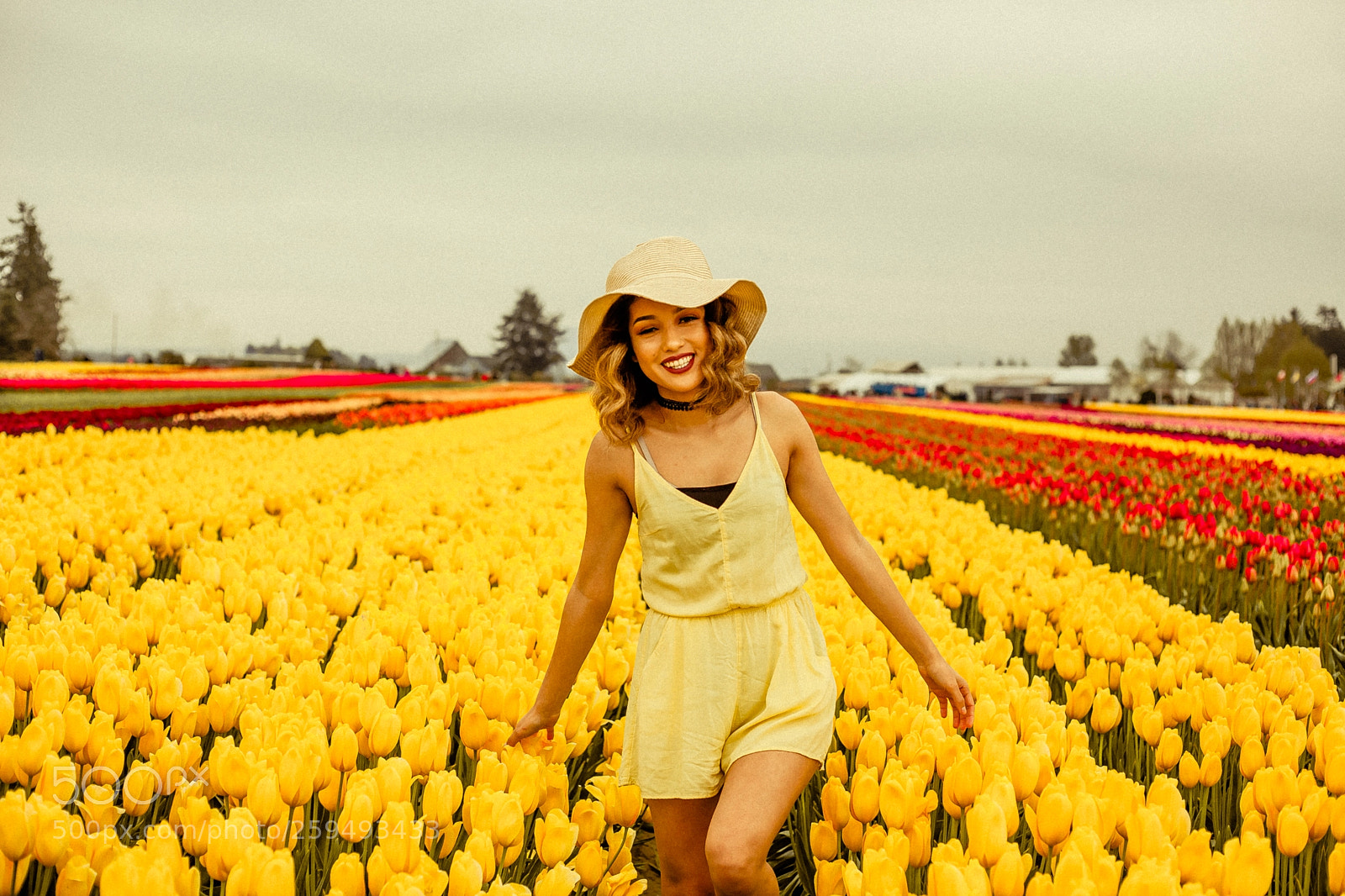 Canon EOS 5D Mark II sample photo. Bliss photography