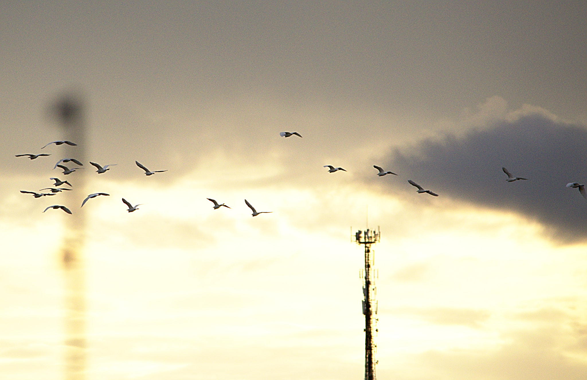 Nikon D3100 sample photo. Editadas photography