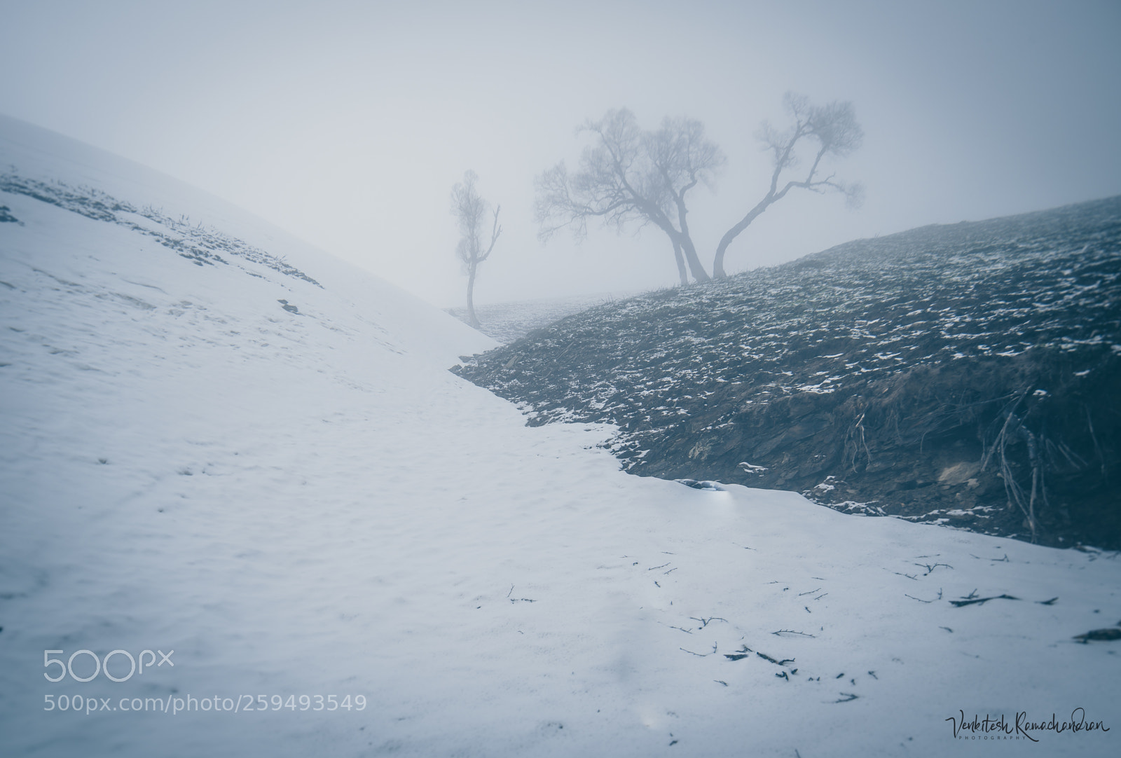 Nikon D750 sample photo. A view of snow photography