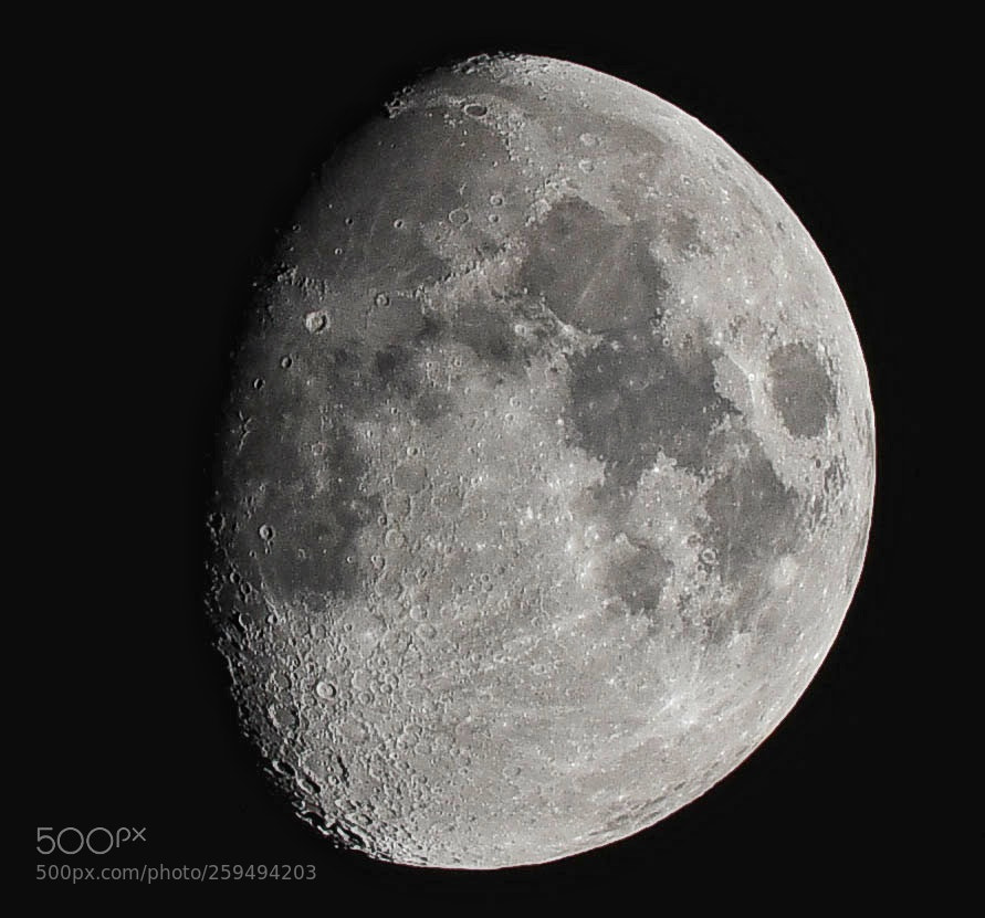 Nikon D750 sample photo. Moon last night photography