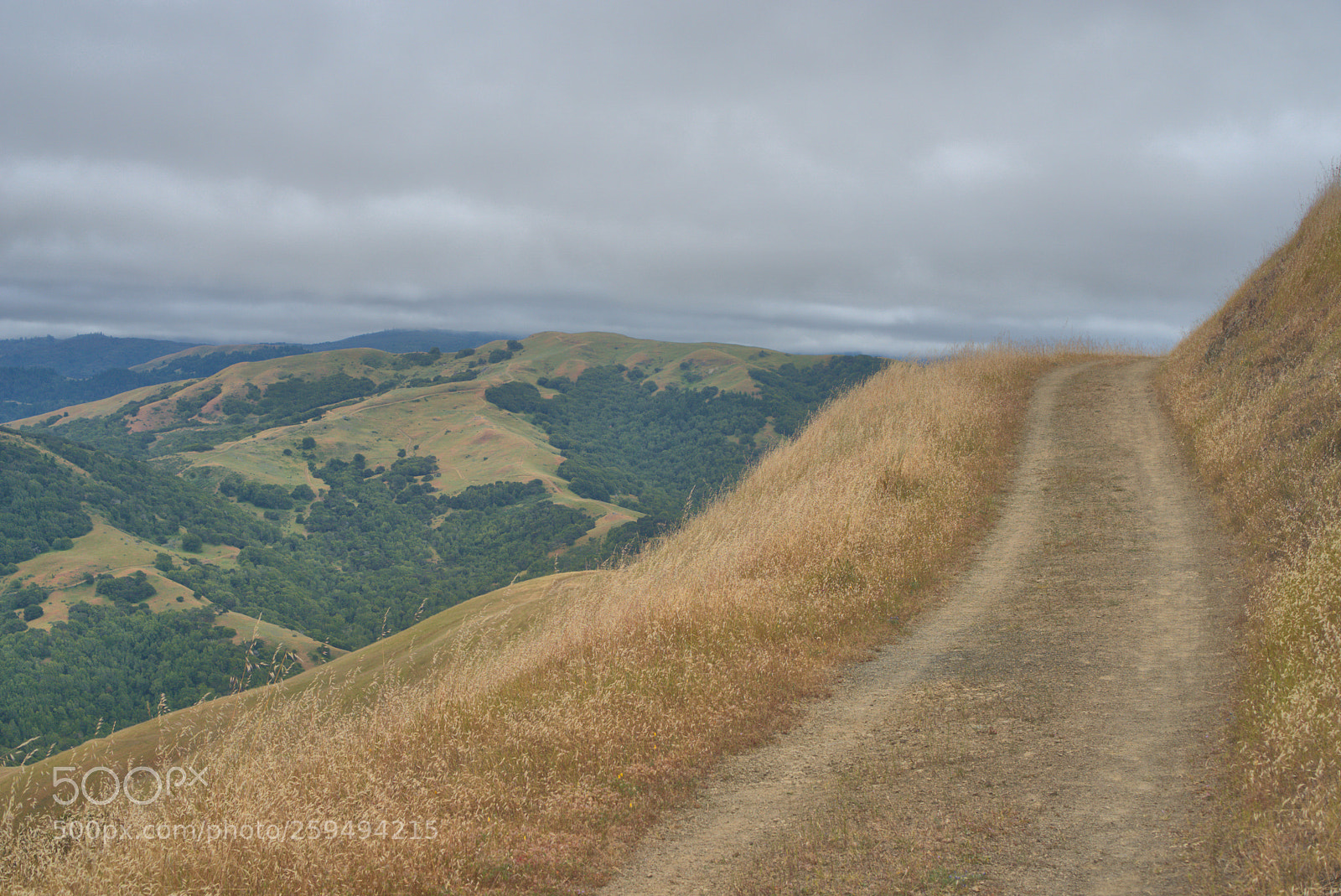 Sony a6000 sample photo. Hilltop road photography