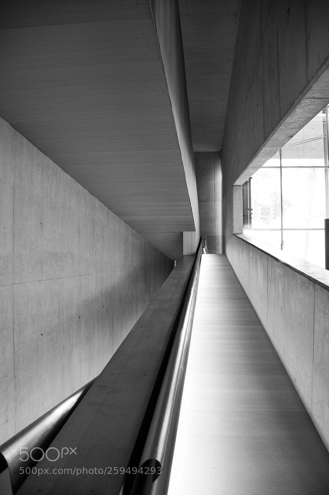 Nikon D300 sample photo. Up photography
