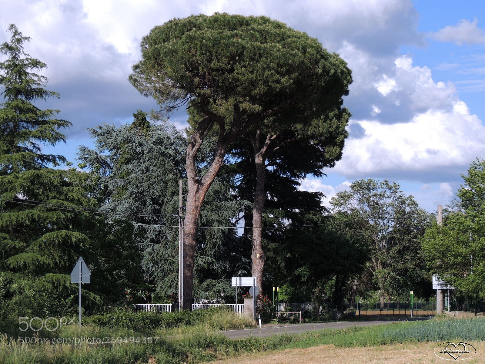 Nikon Coolpix P510 sample photo. Abito in mezzo al photography