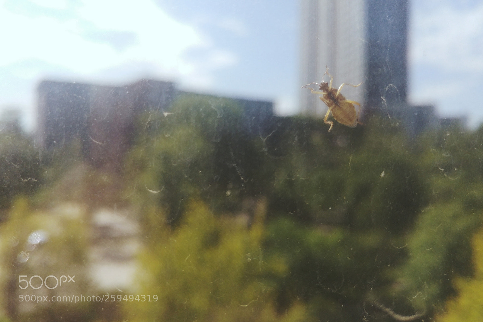 LG G5 sample photo. Untitled photography