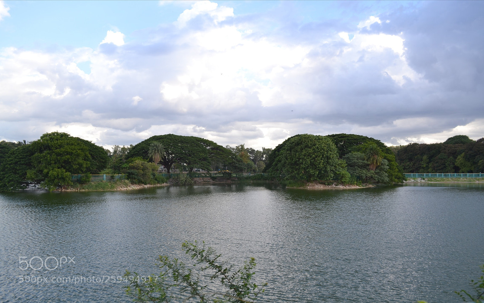 Nikon D3100 sample photo. Untitled photography