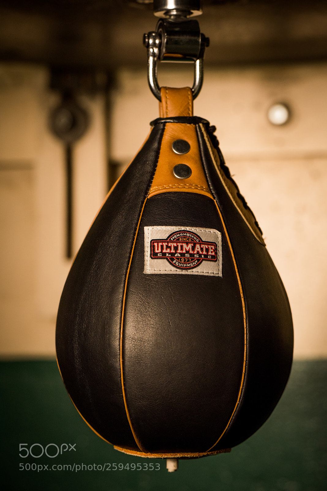 Nikon D810 sample photo. Speed bag photography