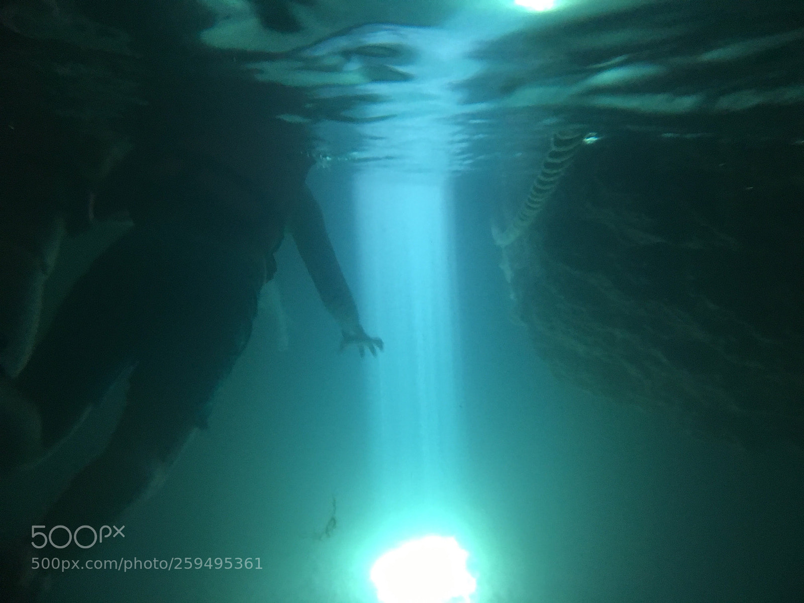 Apple iPhone 6s sample photo. Sunbeam underwater photography