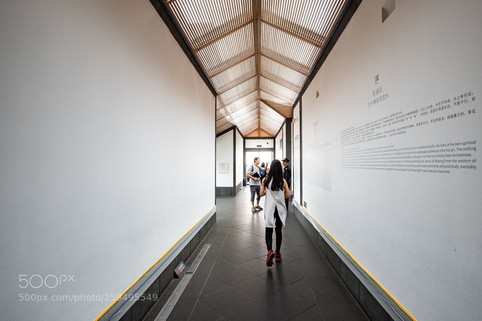 Fujifilm X-T20 sample photo. Suzhou museum 2 photography