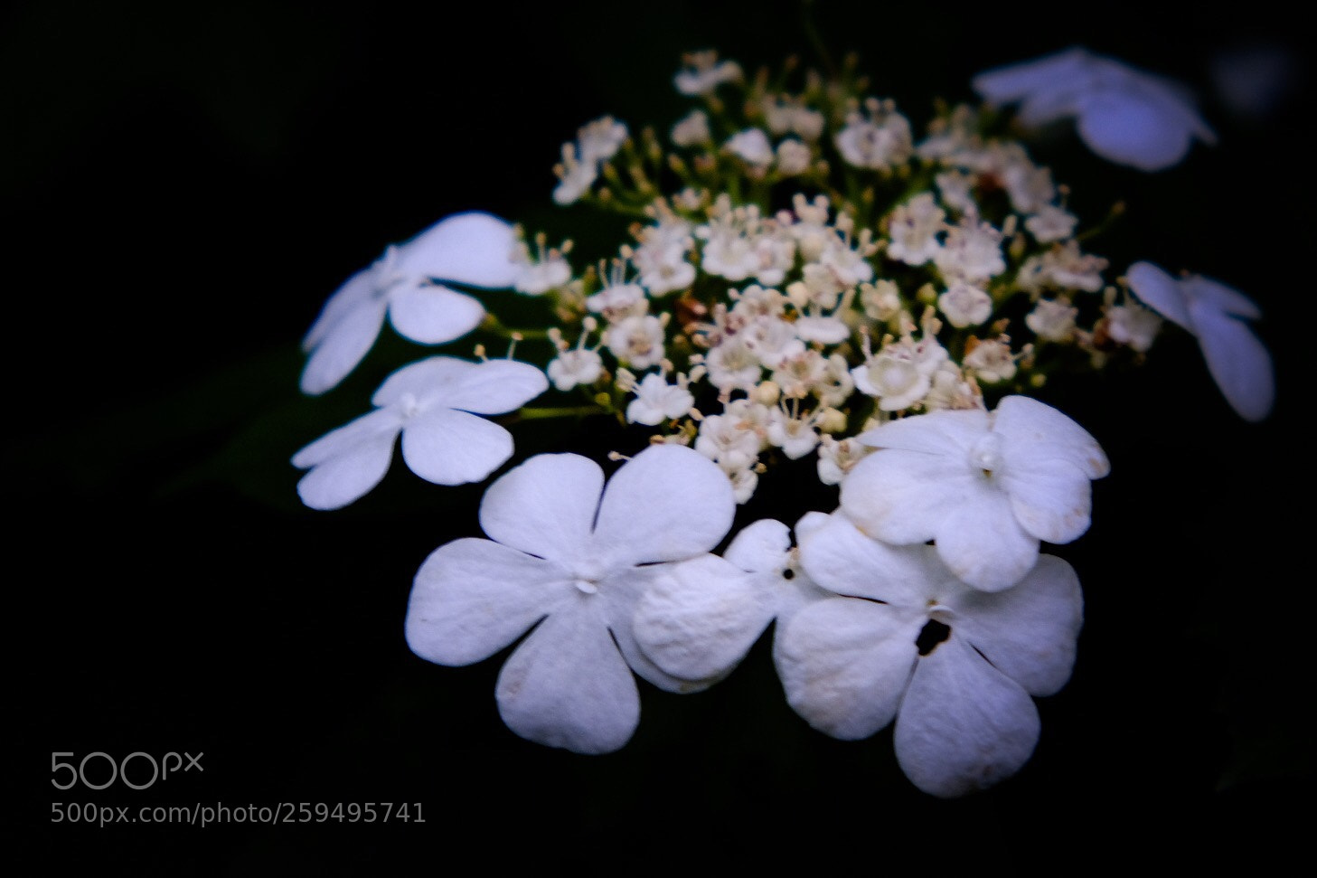 Fujifilm X-T20 sample photo. Untitled photography