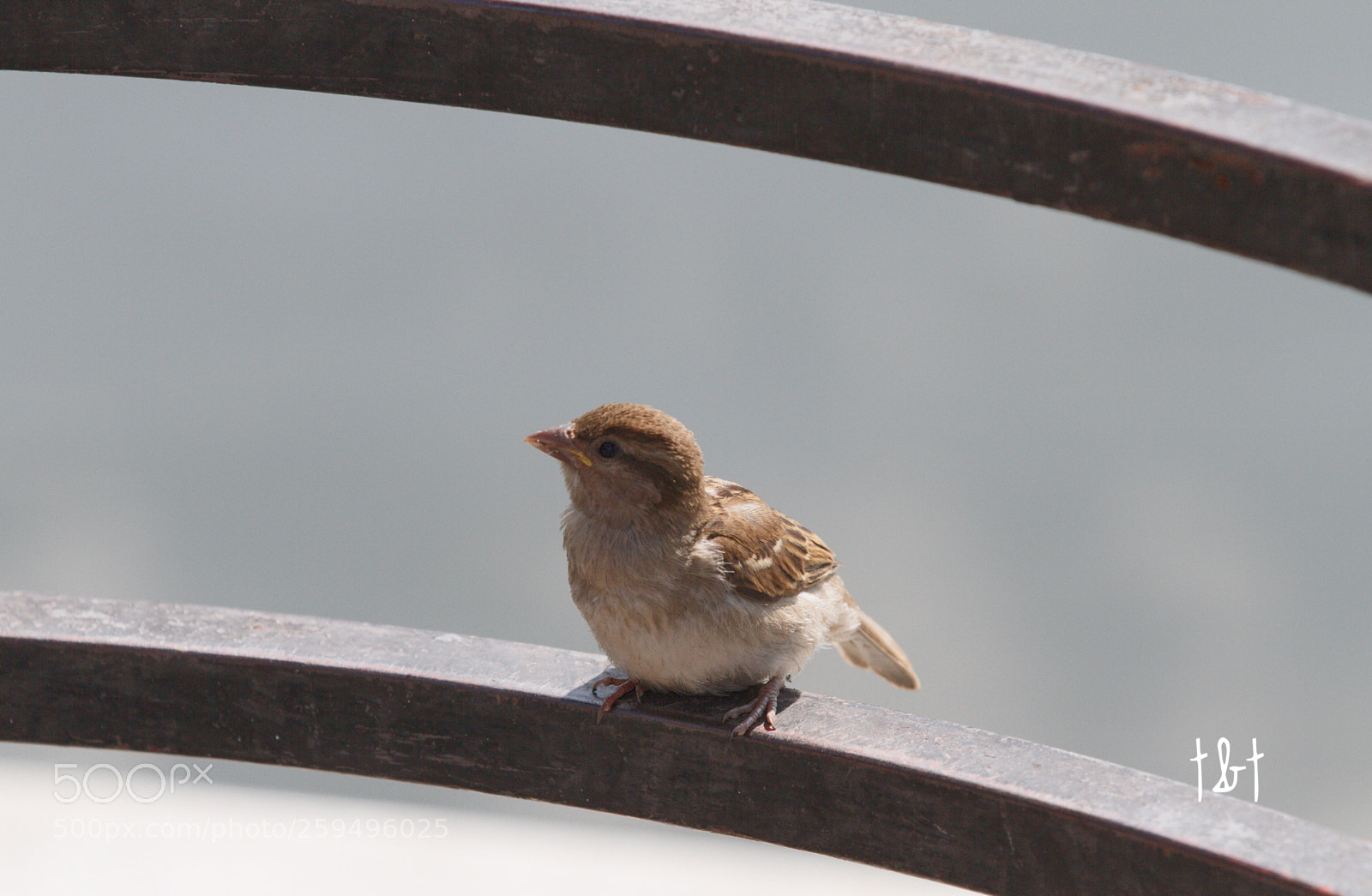 Canon EOS 7D sample photo. Untitled photography