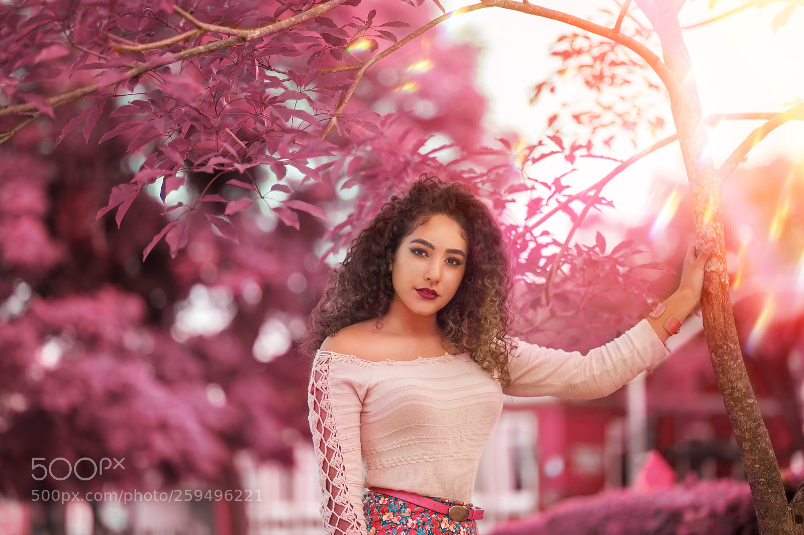 Canon EOS 5D Mark II sample photo. Img photography