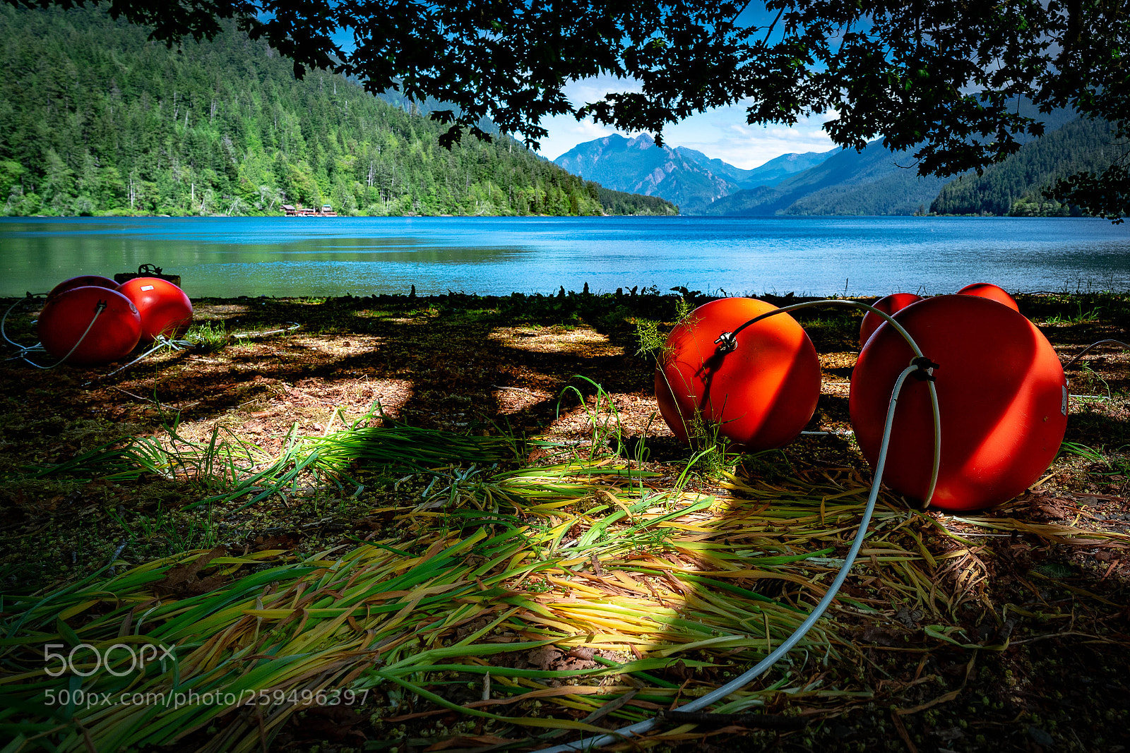 Sony a7R II sample photo. Lakecrescent photography