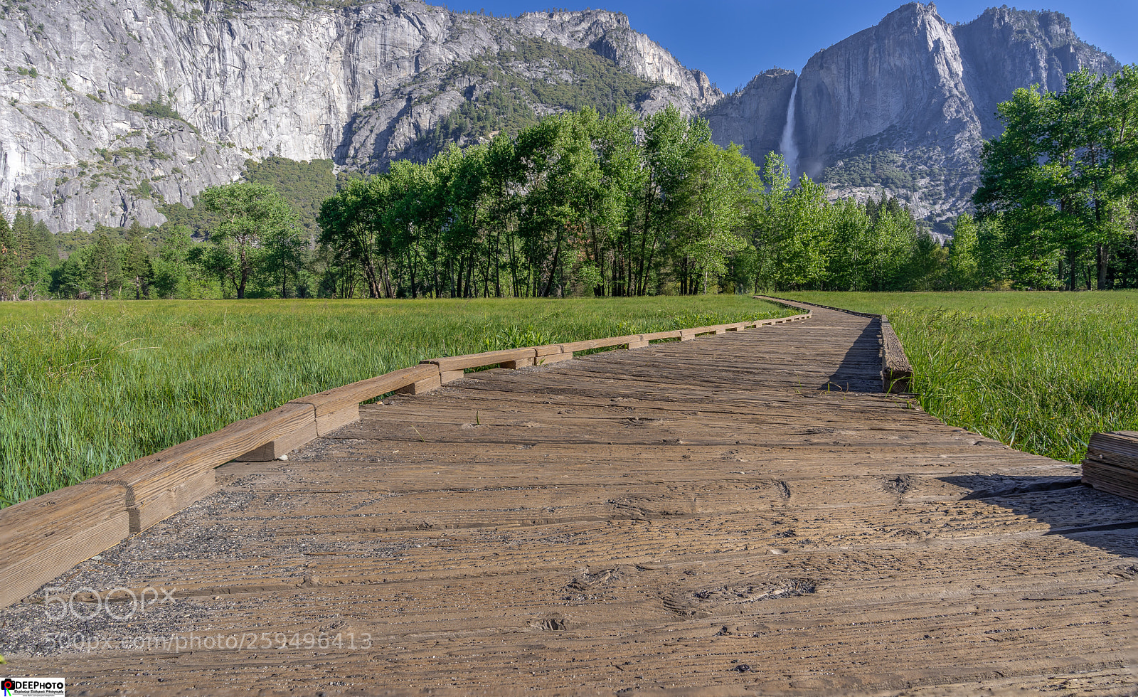 Sony a7 III sample photo. Walkway to paradise photography