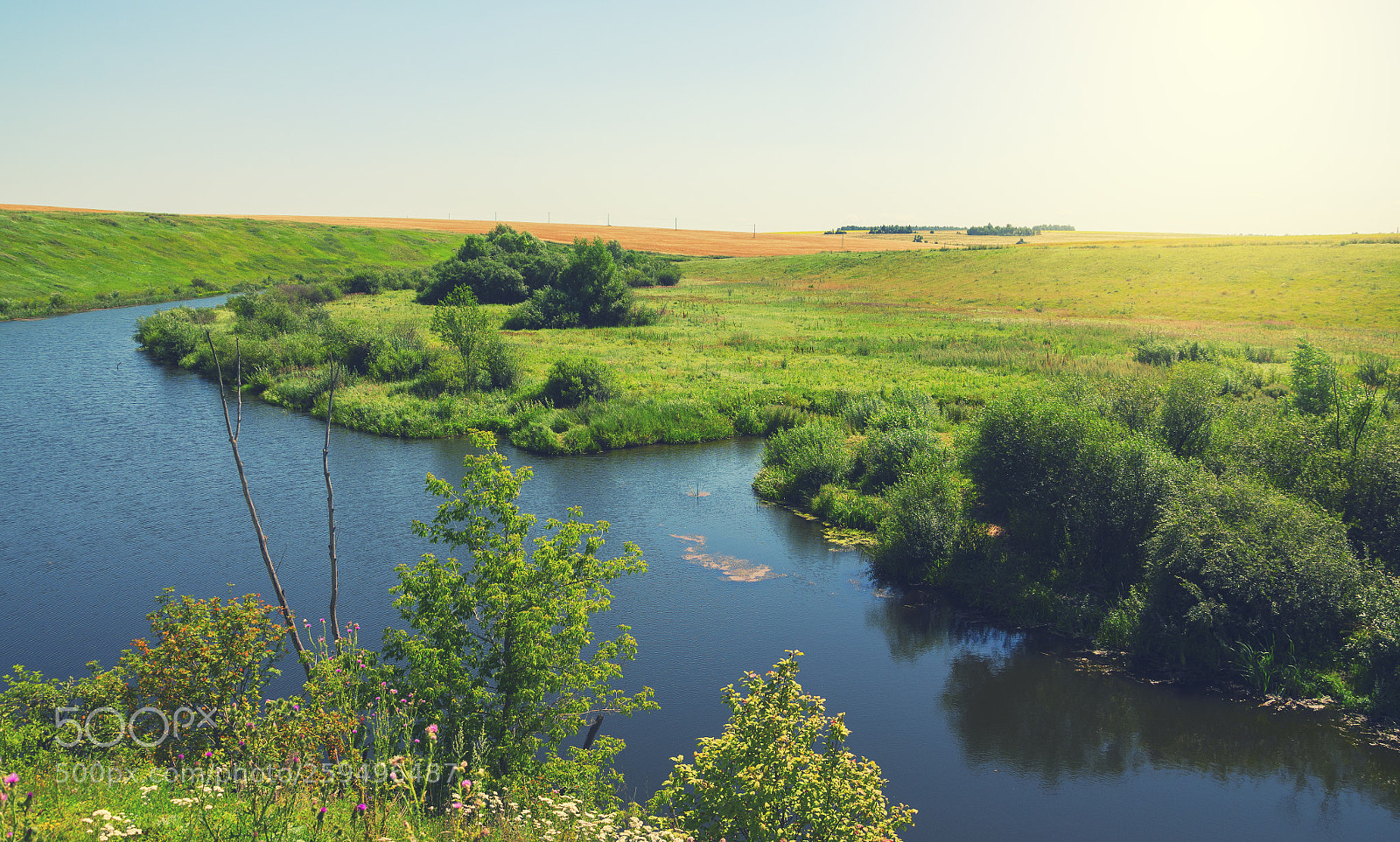 Nikon D5100 sample photo. Summer scene photography