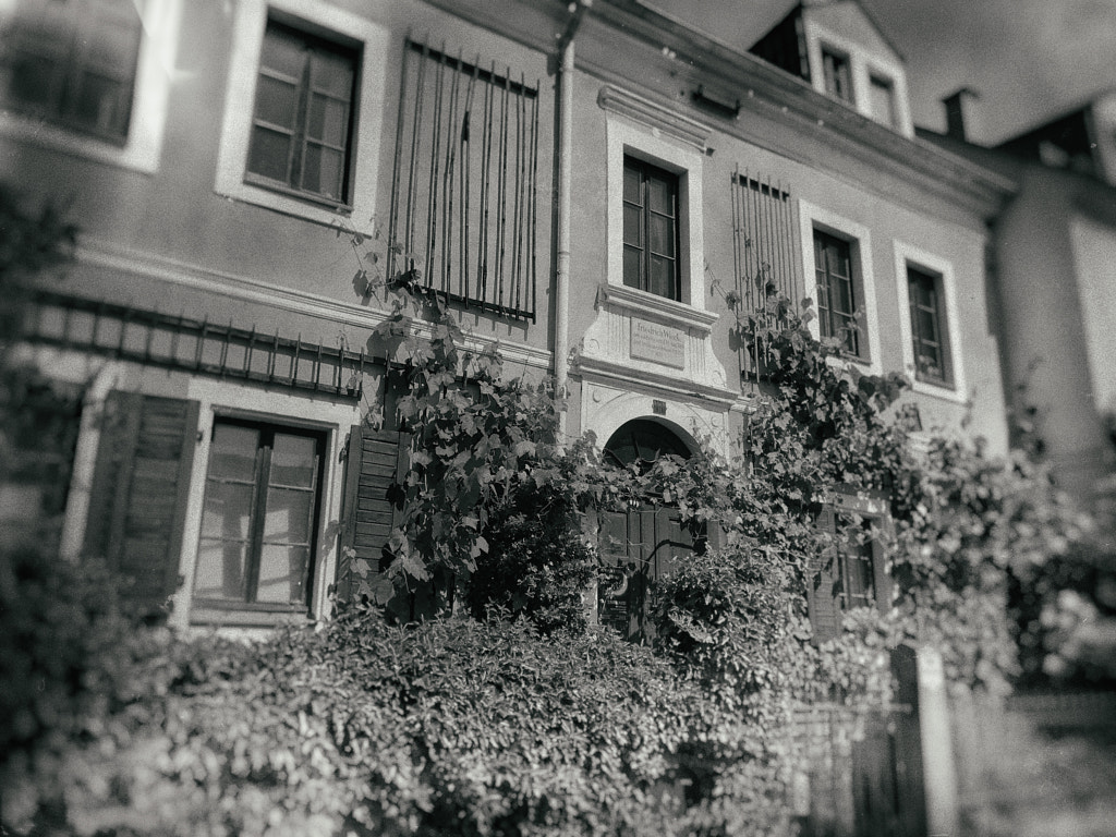 freidrich wieck von dirk derbaum auf 500px.com