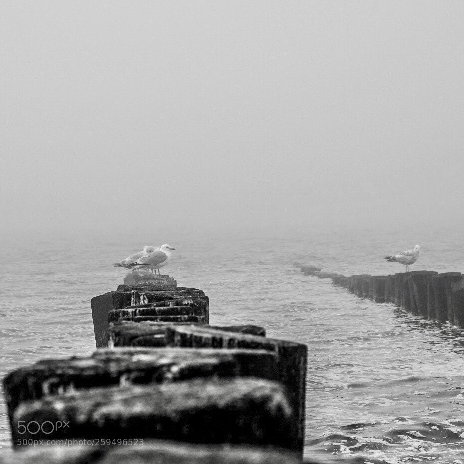 Fujifilm X-T20 sample photo. Untitled photography