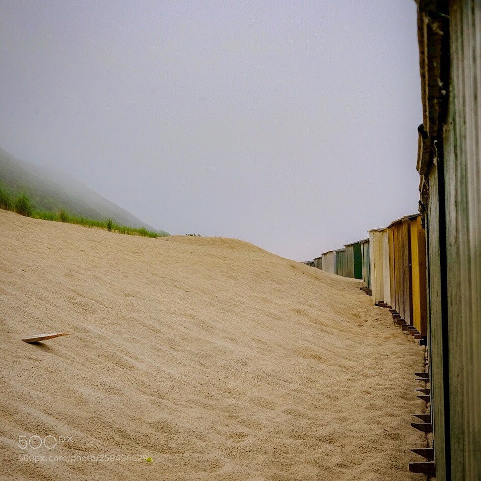 Fujifilm X-T20 sample photo. Untitled photography