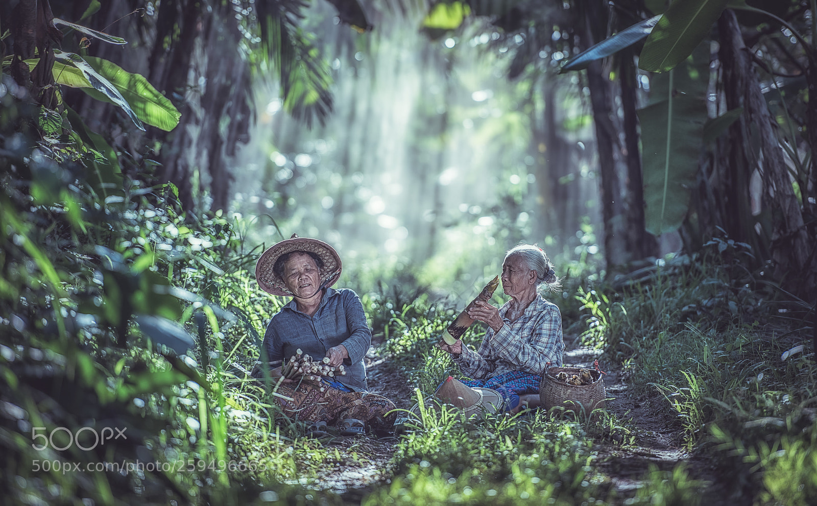 Nikon D810 sample photo. Sharing - "ฮักแพง - แบ่งปัน" photography