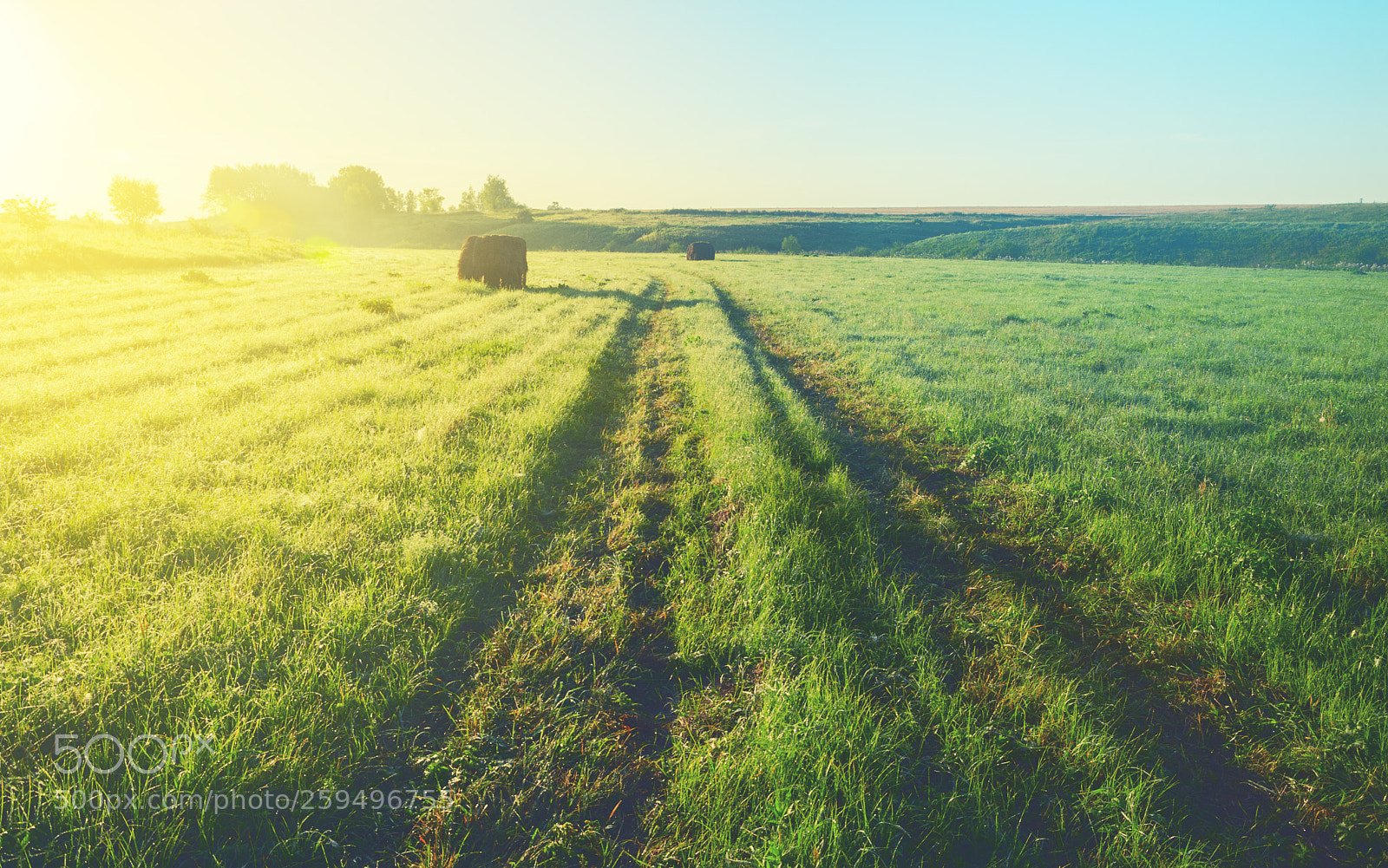 Nikon D5100 sample photo. Sunny morning photography