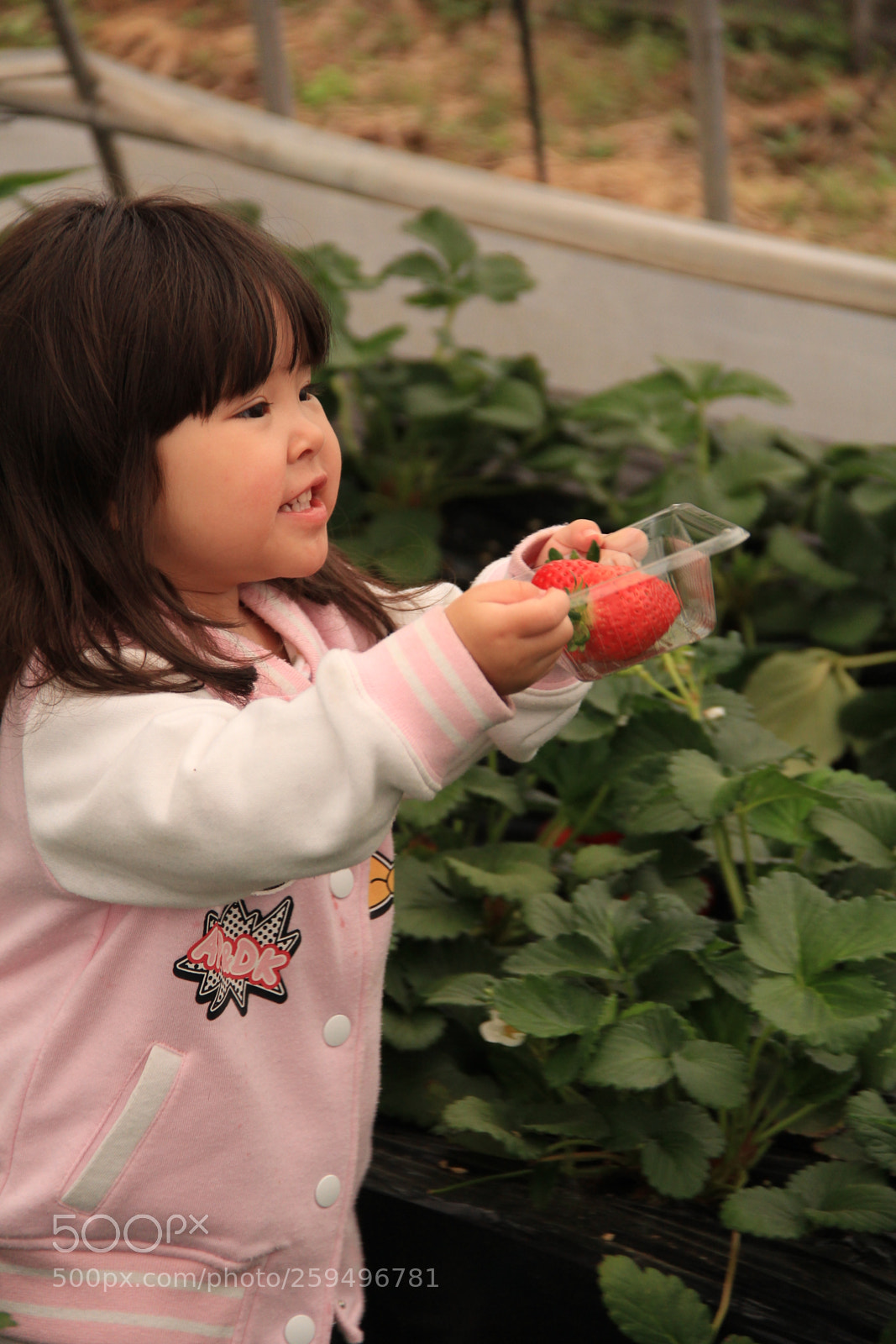 Canon EOS 60D sample photo. Strawberry girl            img photography